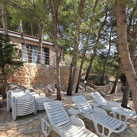 Steinhaus Mirko * Starigrad Paklenica